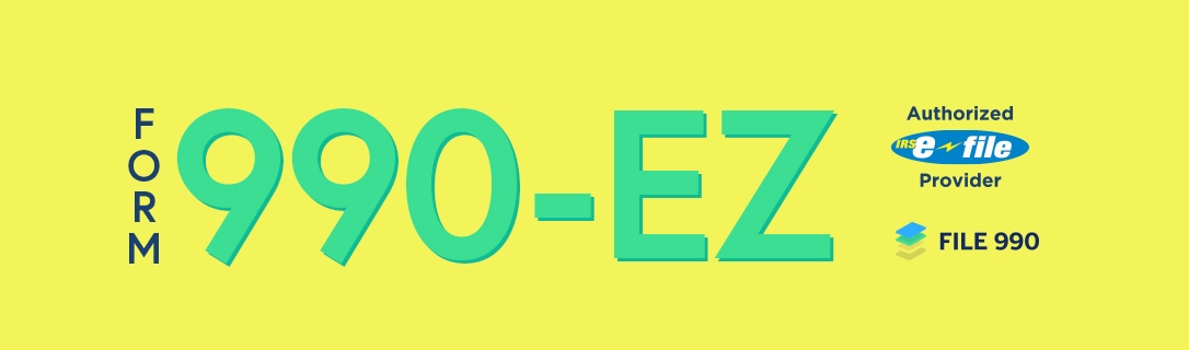 2022-2024-form-irs-990-ez-fill-online-printable-fillable-blank