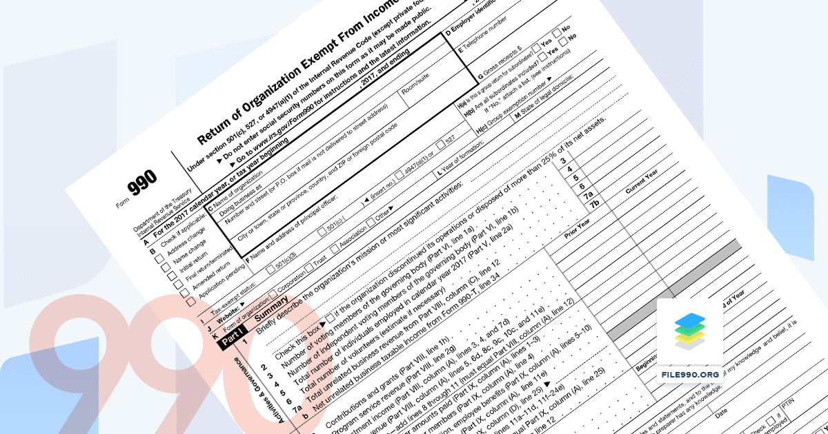 What is the IRS Form 990?